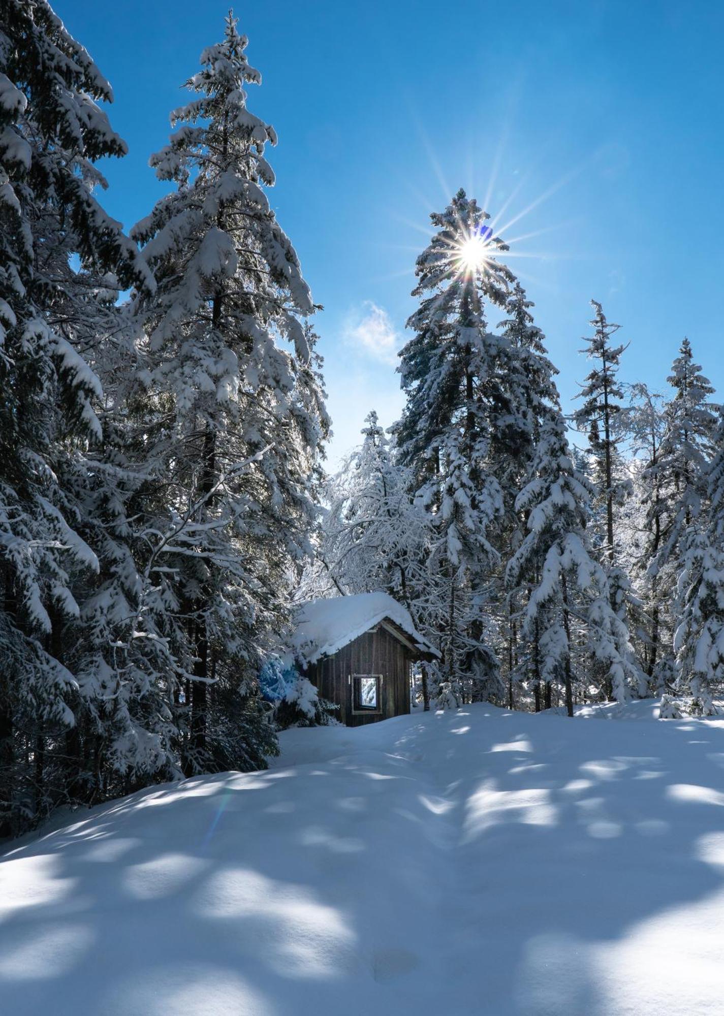 Ferienwohnung BergPfote Scheidegg Exterior foto